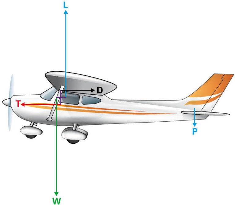 Straight And Level Flight Is Your Second Flight Lesson